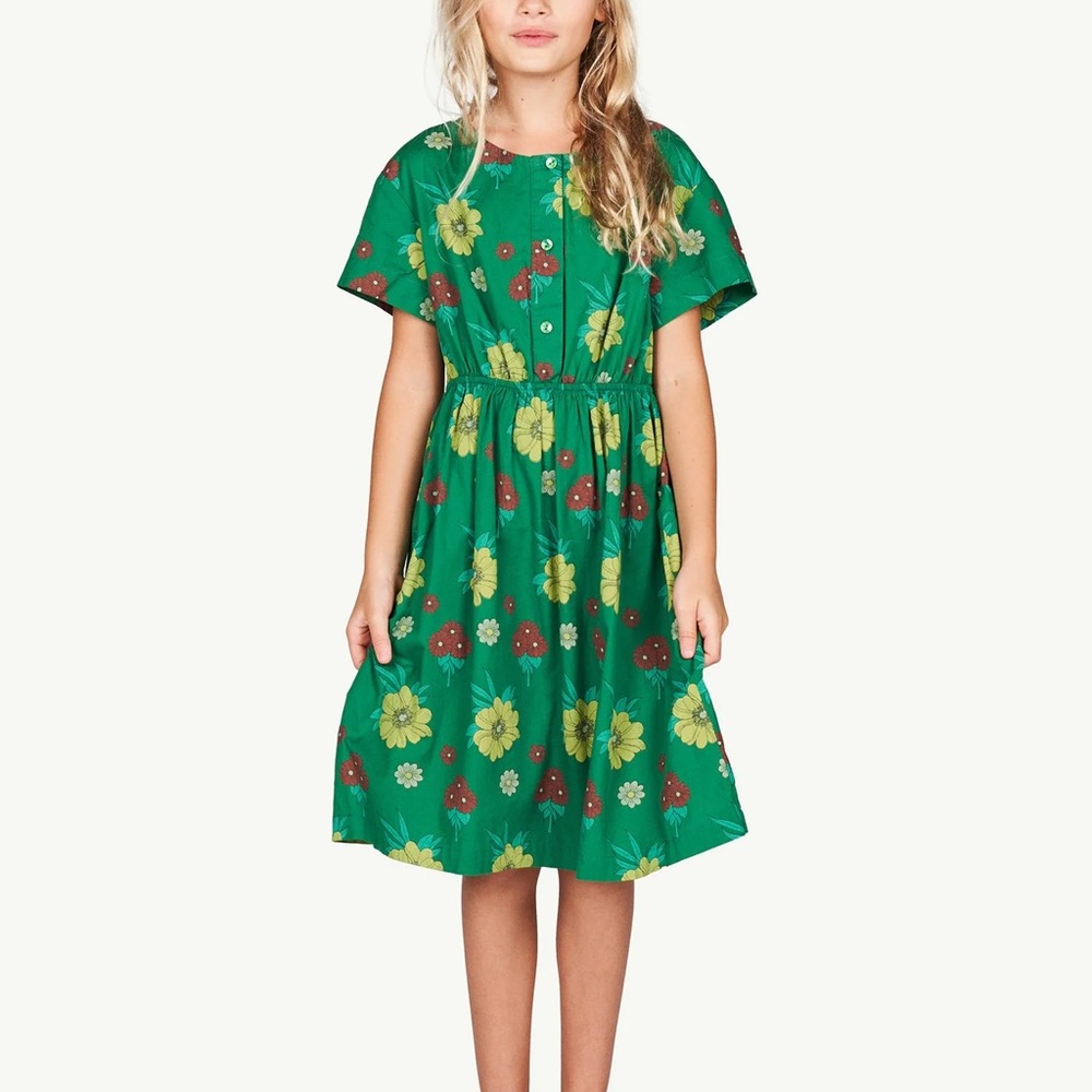 EUC T.A.O Woven Floral Dress 4y